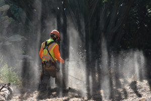Person in orange vest clearing dead dry grass from hillside